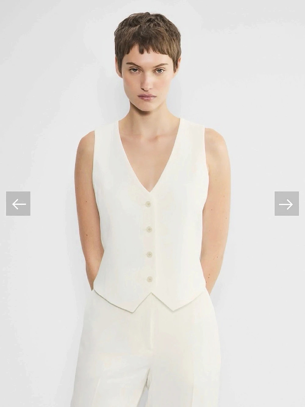 Babaton Deniro Vest - Aritzia